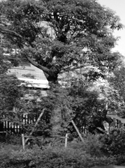 连云港注册公司